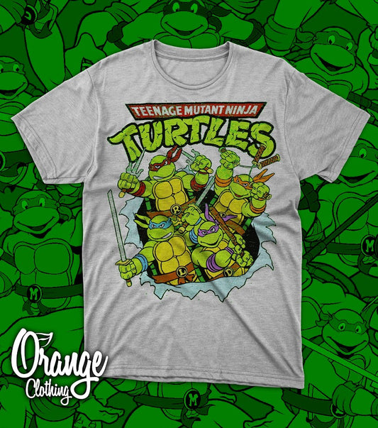 Camiseta TMNT Classic Grey